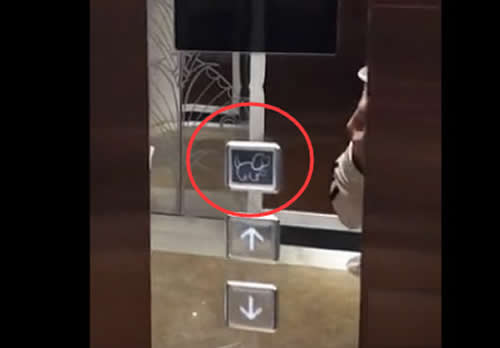 寵物隨行乘梯警示標識燈